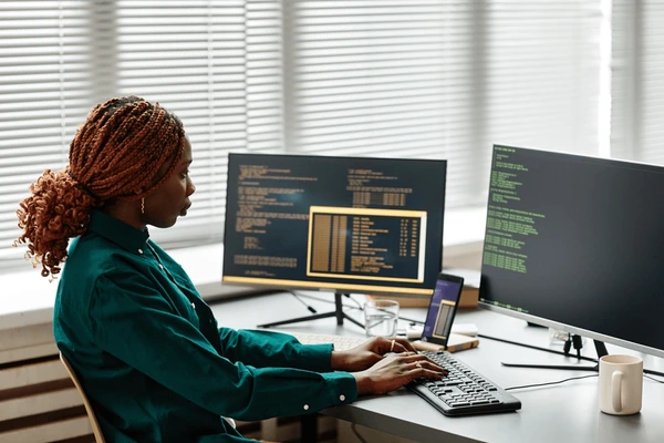 Software adaptation and integration